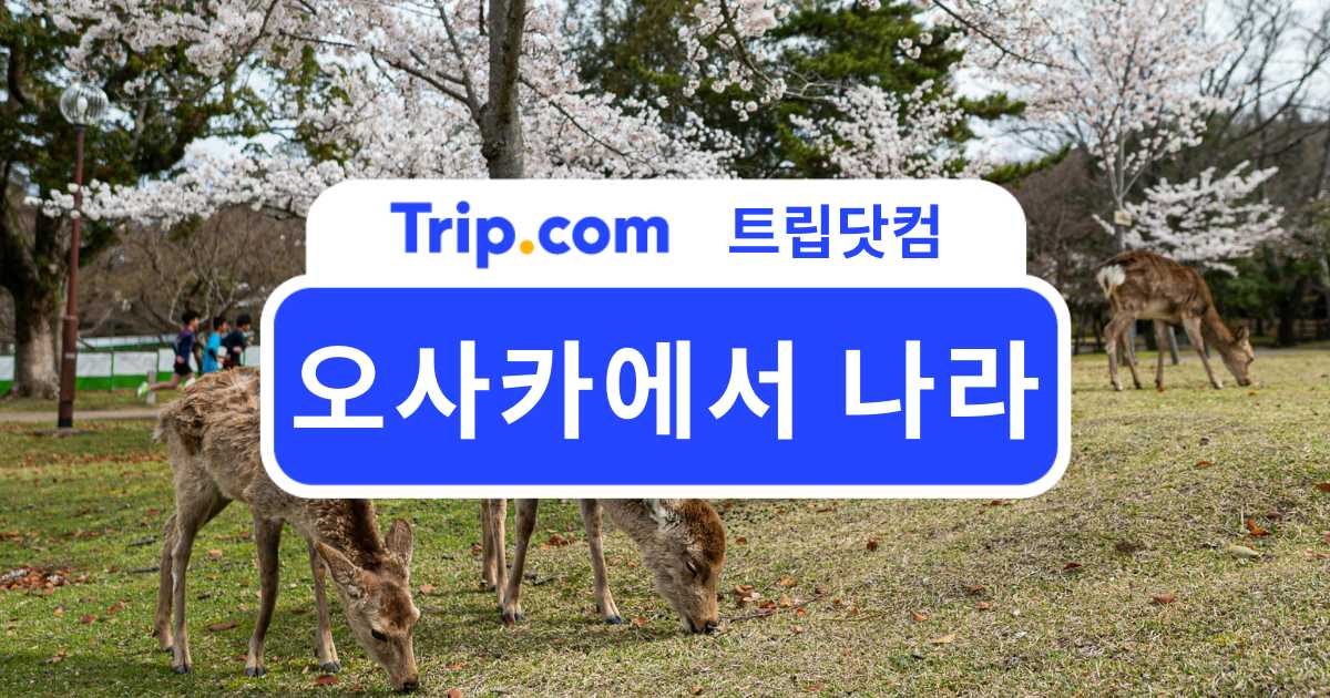오사카에서 나라 여행