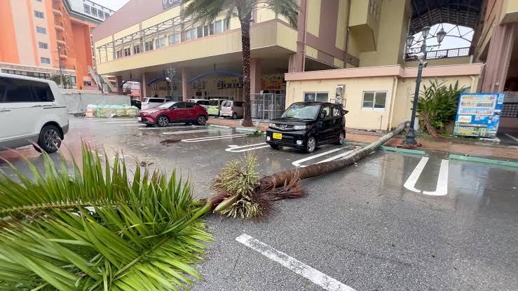 Okinawa Storms and Typhoon