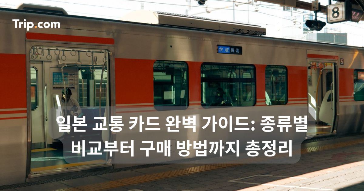 일본 교통 카드