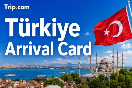 Türkiye Arrival Card