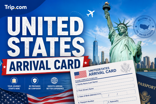 US Arrival Card