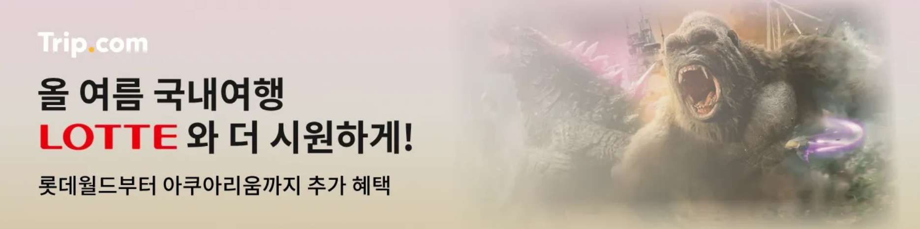 국내 여행 특가