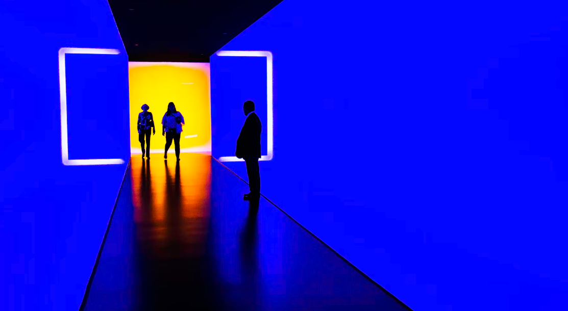 houston museum of fine arts
