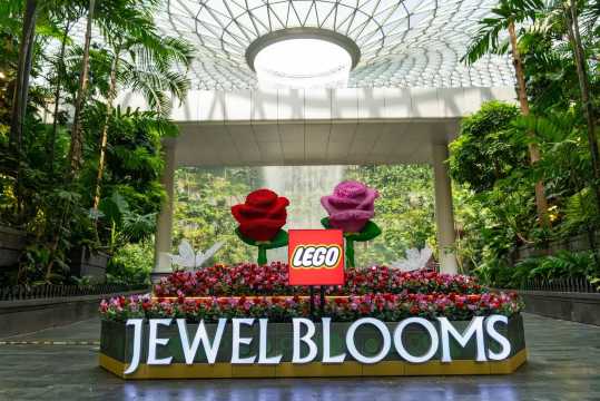 Changi Airport LEGO Botanicals Limited-Time Exhibition