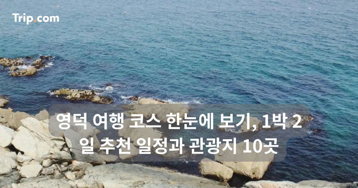 영덕 여행 코스 