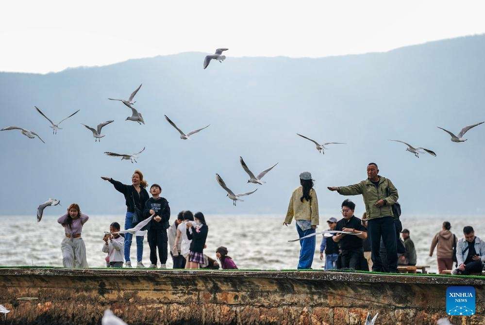 Destinasi Terbaik Saat Golden Week (1–7 Oktober 2027)