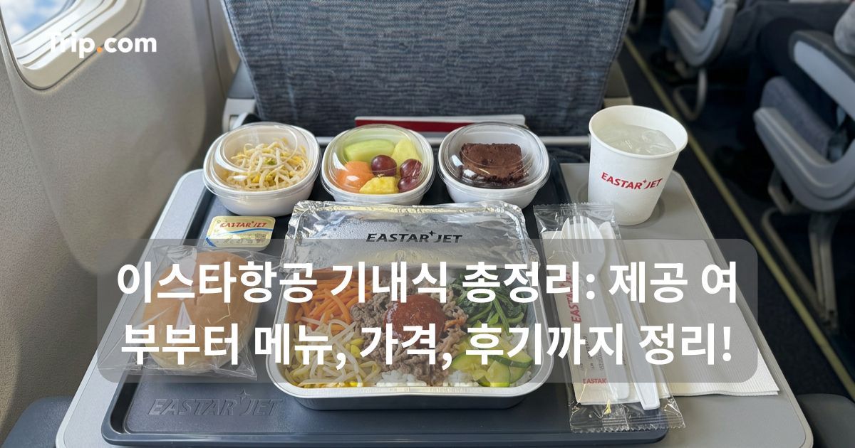 이스타항공 기내식 총정리: 제공 여부부터 메뉴, 가격까지 | 트립닷컴