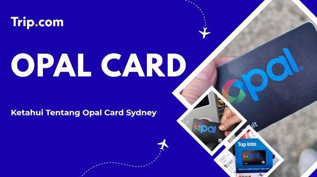 Opal Card