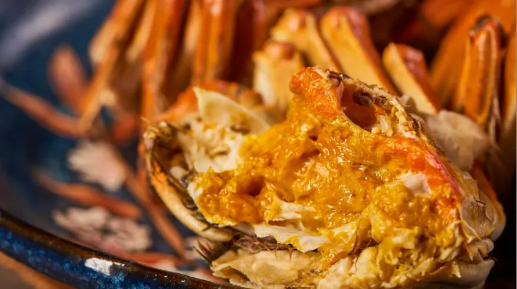 What to Eat in Shanghai