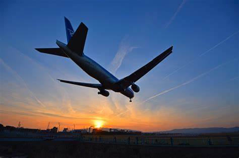 フレキシブル航空券を使う際の注意点