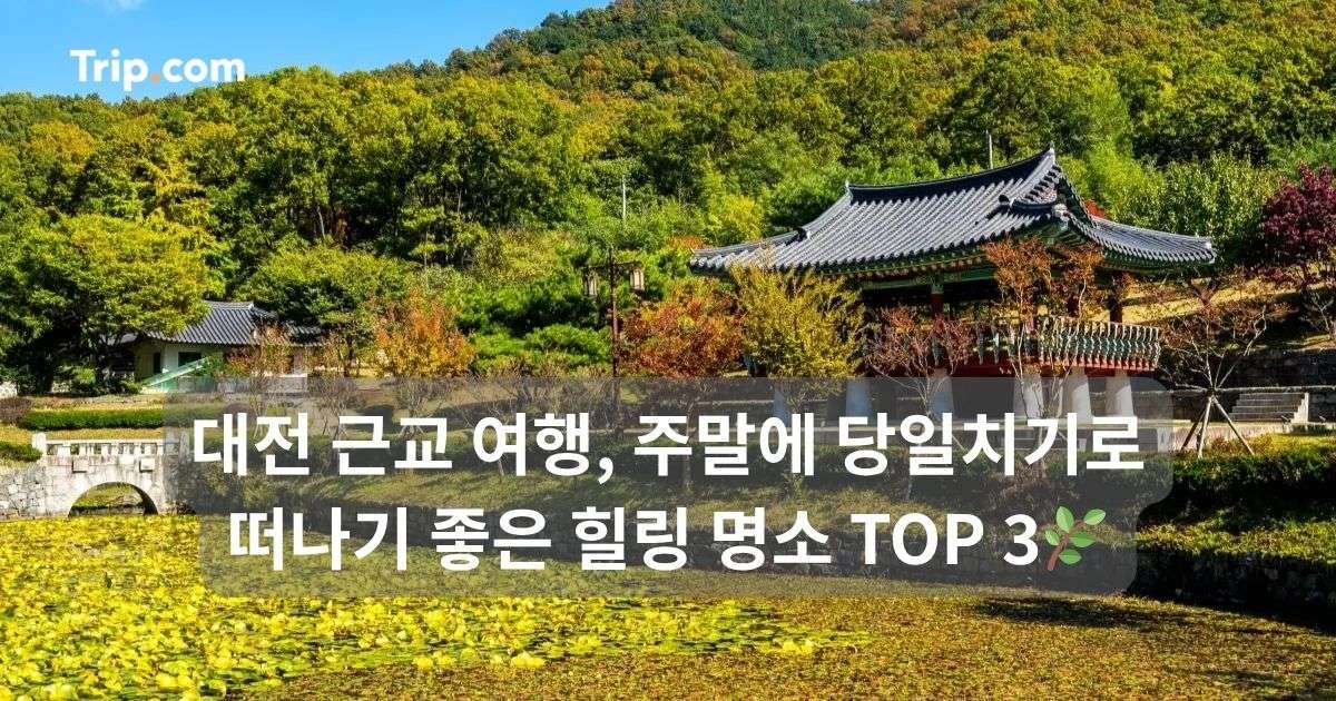 대전 근교 여행, 주말에 당일치기로 떠나기 좋은 곳 TOP 3 | 트립닷컴