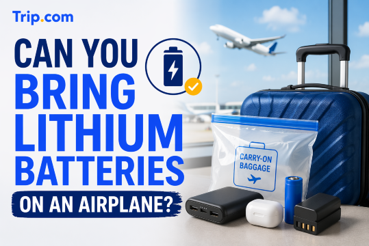 help me create cover image for this article
title is Can You Bring Lithium Batteries on an Airplane
please show the title big word
have logo trip.com at above rights or left
