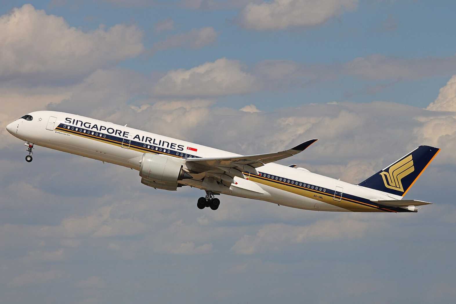 Singapore Airline