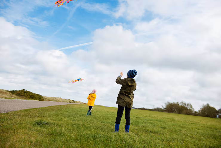 重陽節要做什麼 | 賞菊與