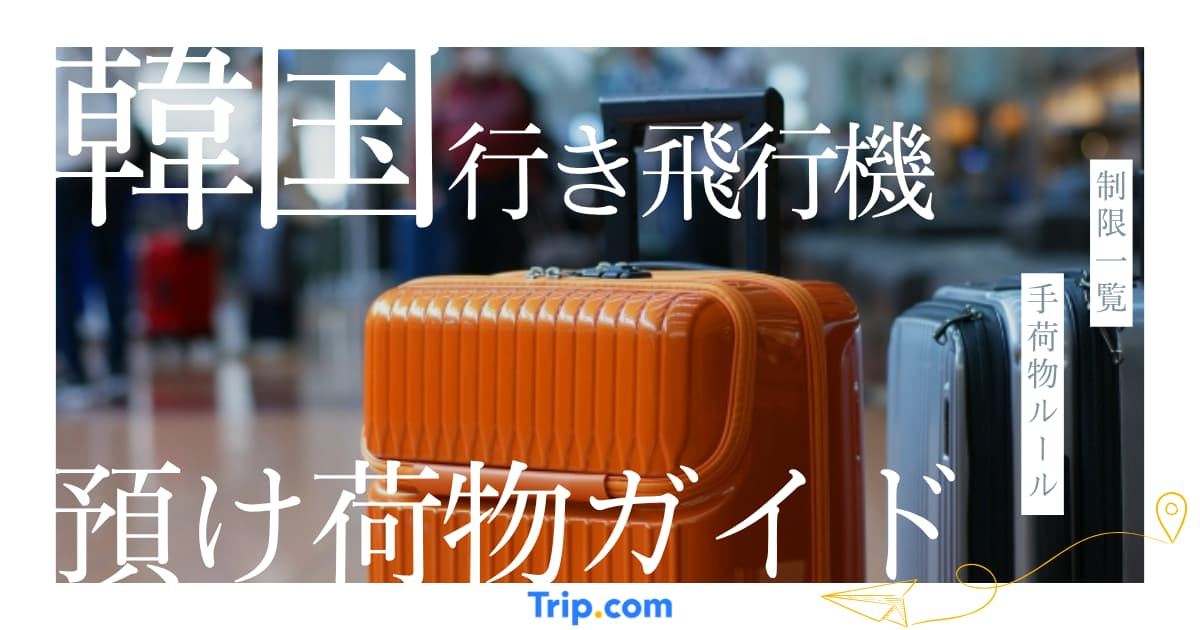 韓国 預け荷物