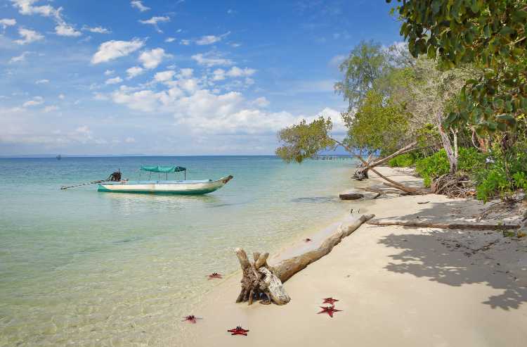 Starfish Beach - пляж с морскими звездами