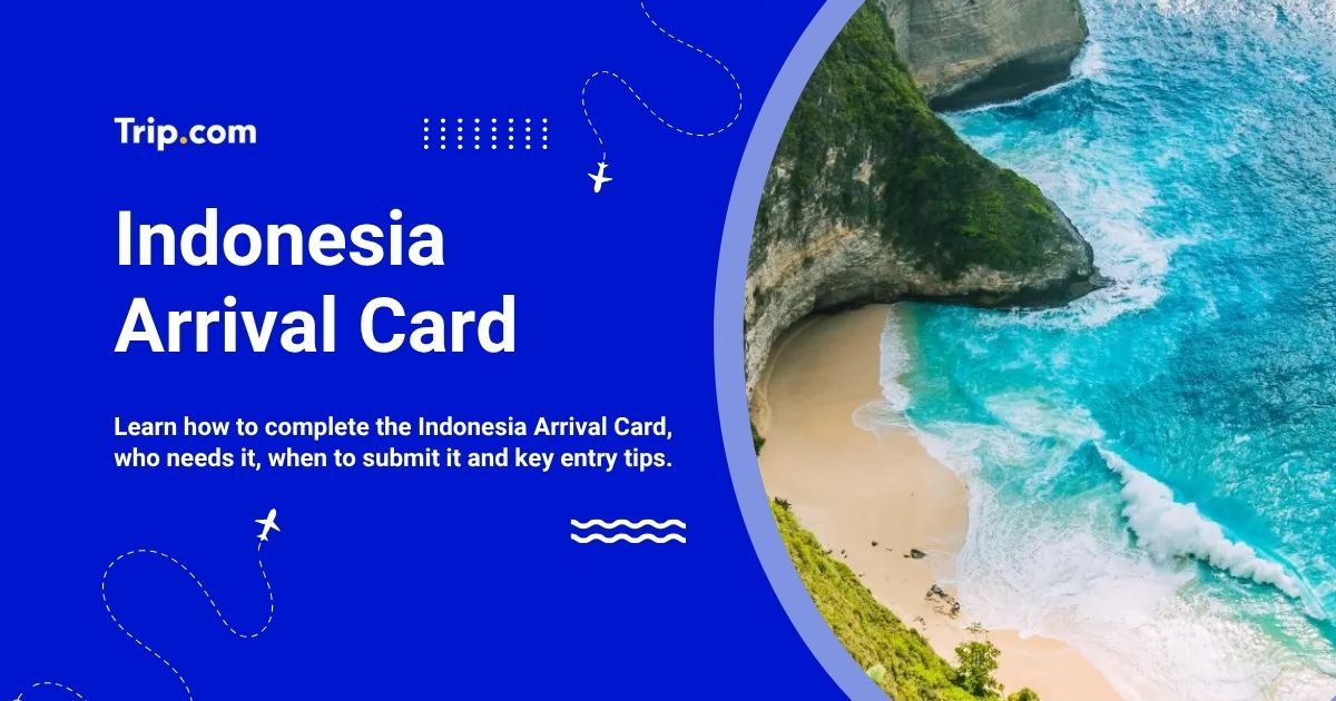 Indonesia Arrival Card