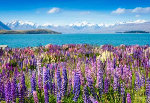 New Zealand