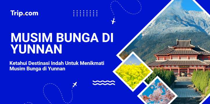 Nikmati Musim Bunga di Yunnan | Trip.com