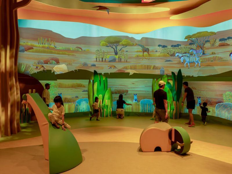 Curiosity Cove