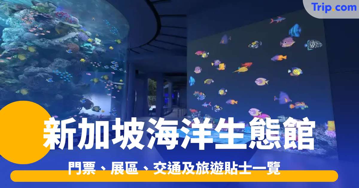 S.E.A. 海洋館攻略2026 門票、展區、交通及旅遊貼士一覽 | Trip.com
