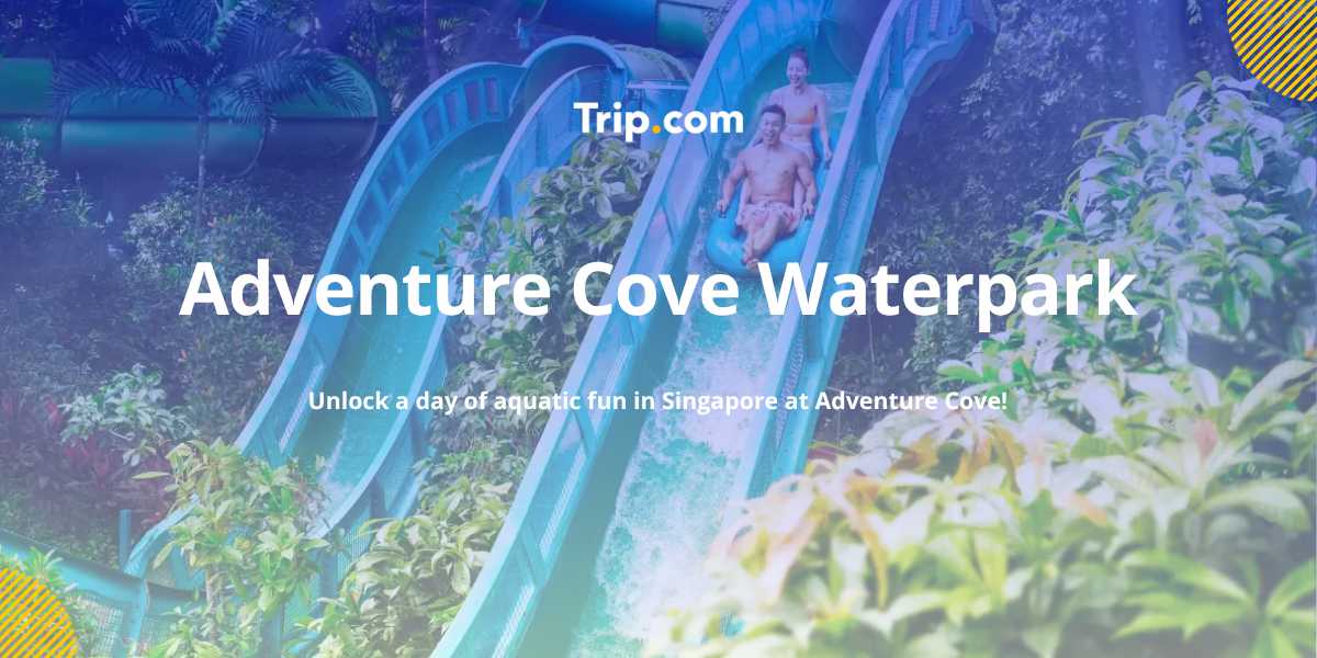 Adventure Cove Waterpark Ticket & Visitor Guide 2026 | Trip.com