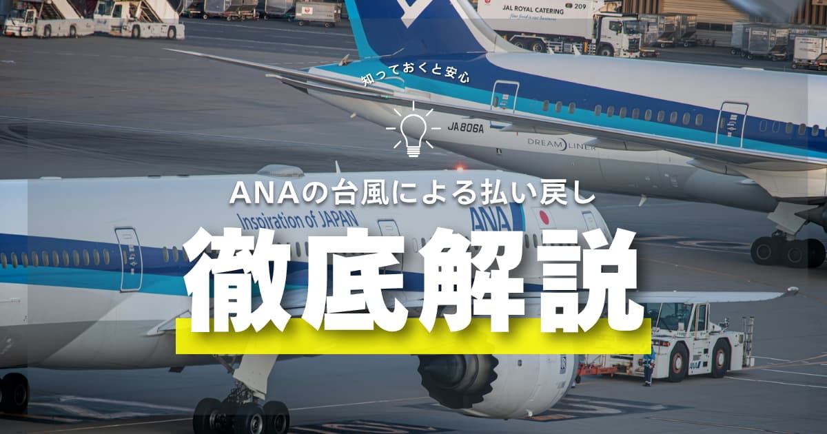 台風でANA便は払い戻しできる？手数料・手続き・振替ルールを解説