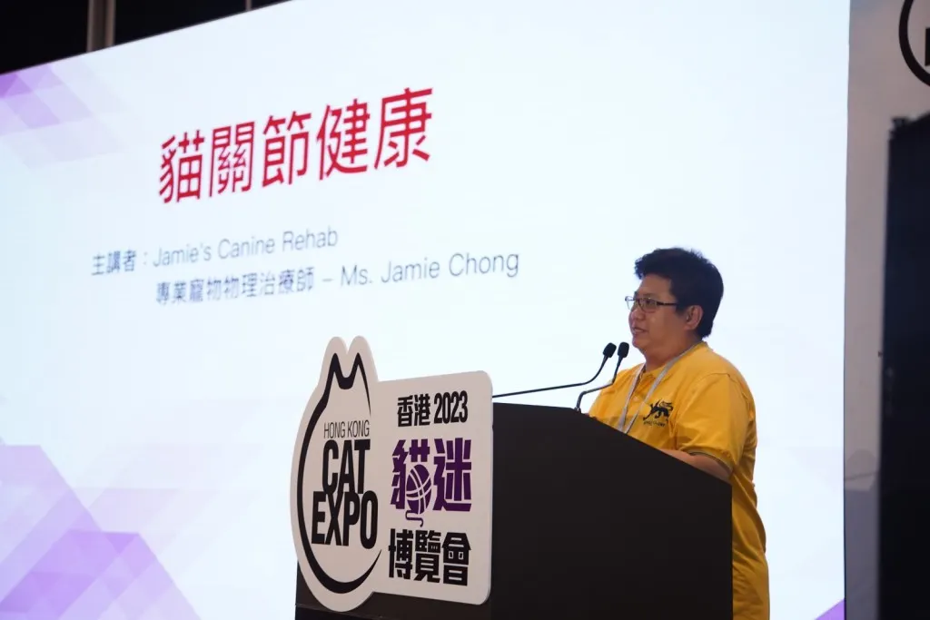 愛護動物協會將在「貓奴知識講座」分享寵物物理治療、貓貓行為研究、骨骼疾病的預防和治療的專業知識