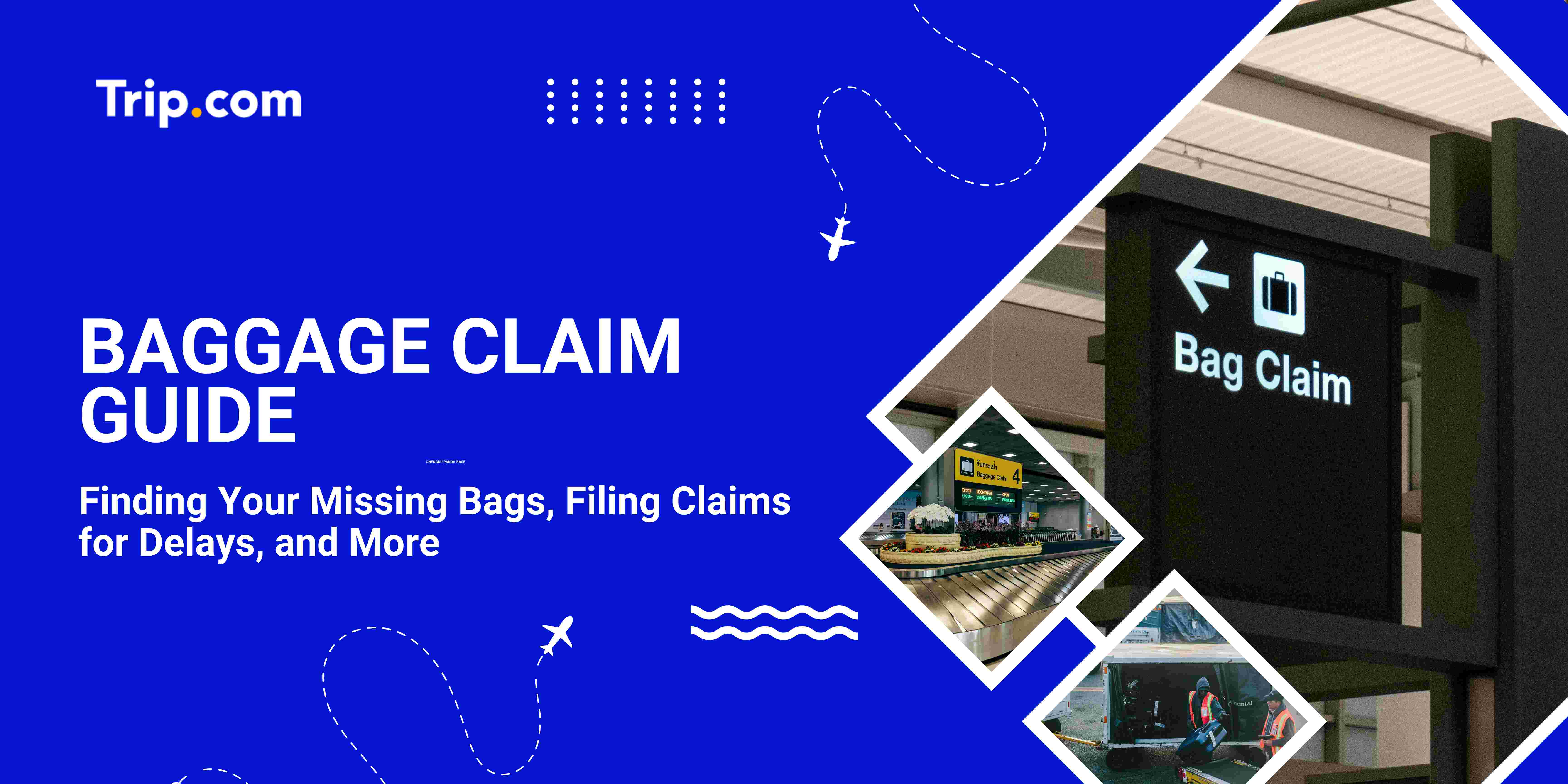 Baggage Claim Guide