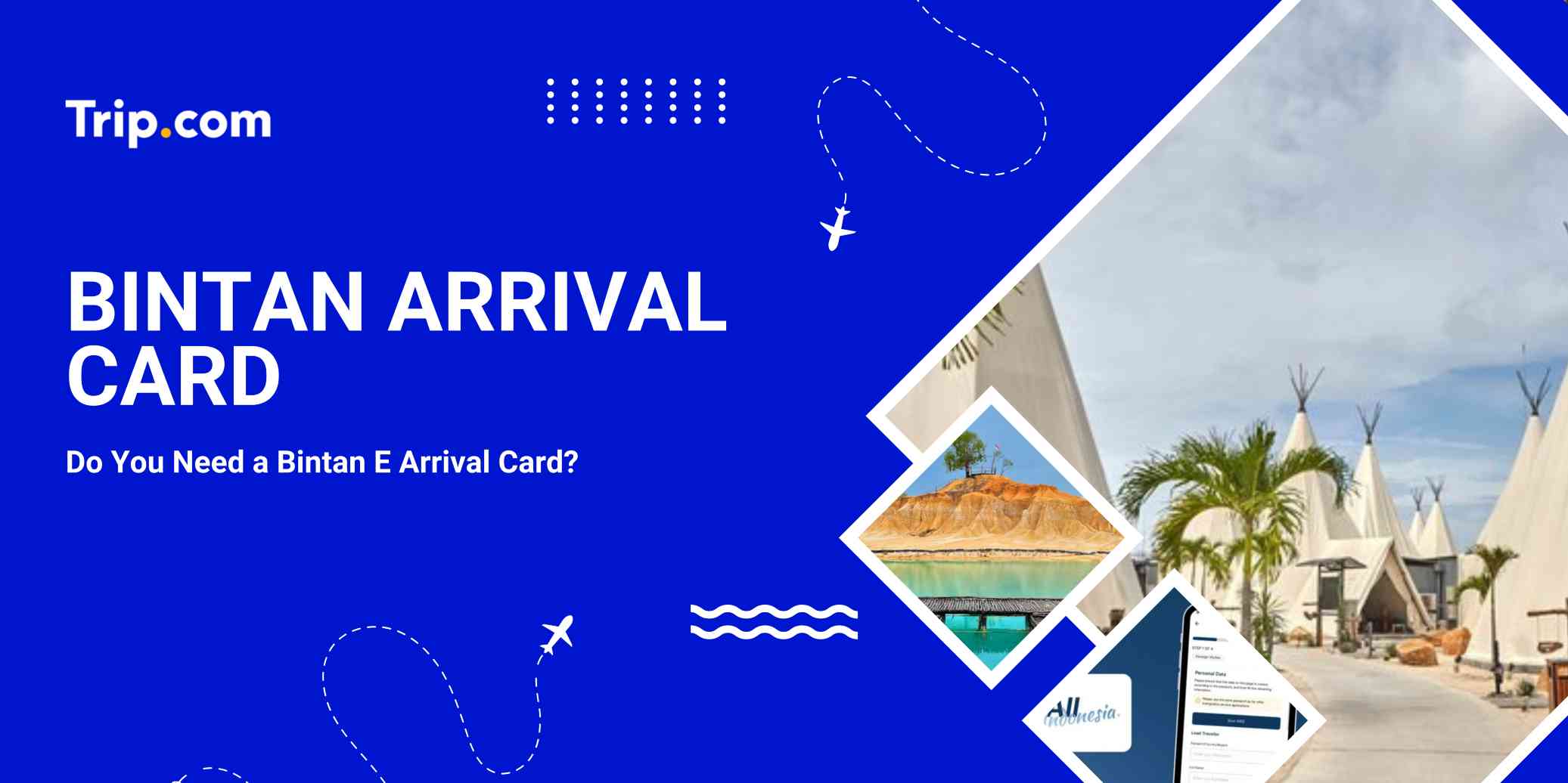 Bintan Arrival Card