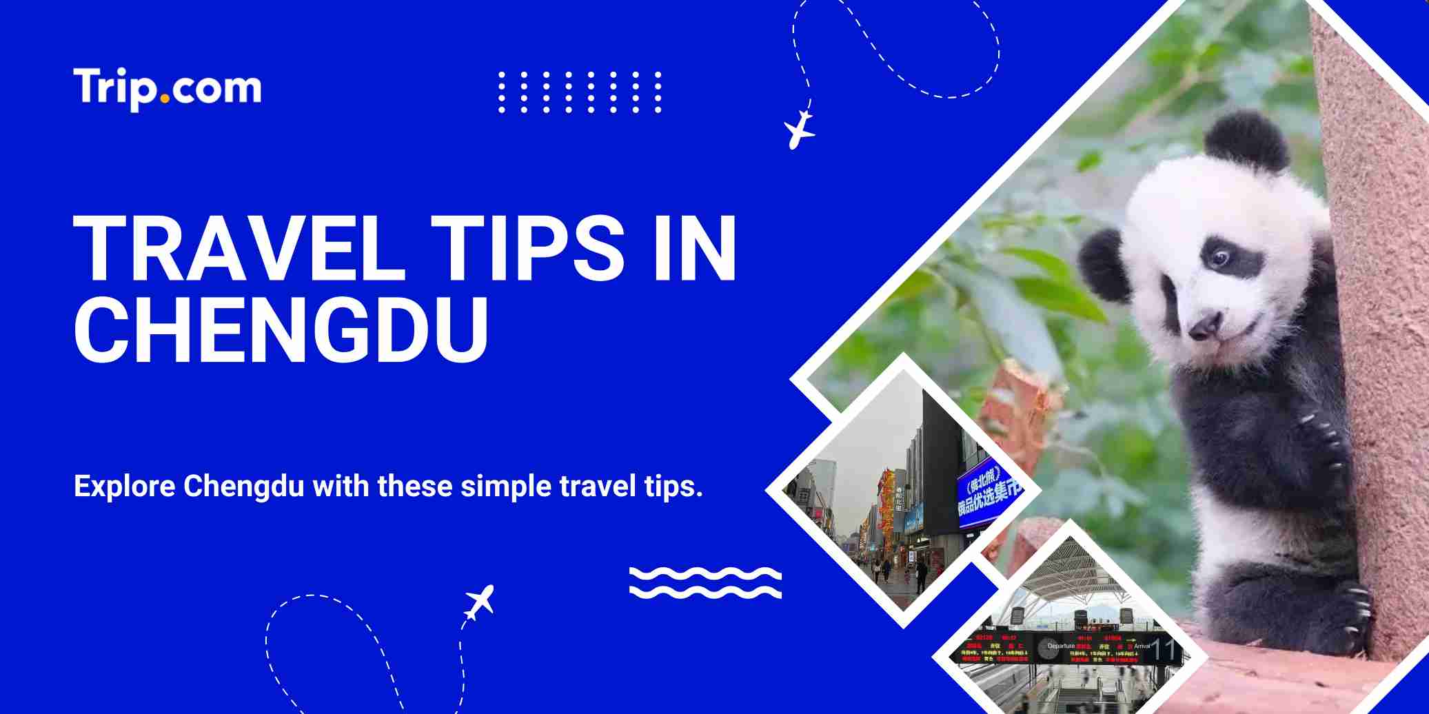  Top Travel Tips in Chengdu for First-Timers: A Complete Malaysian Guide