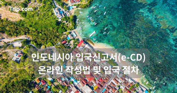 인도네시아 입국신고서(e-CD) 온라인 작성법 및 입국 절차 | 트립닷컴