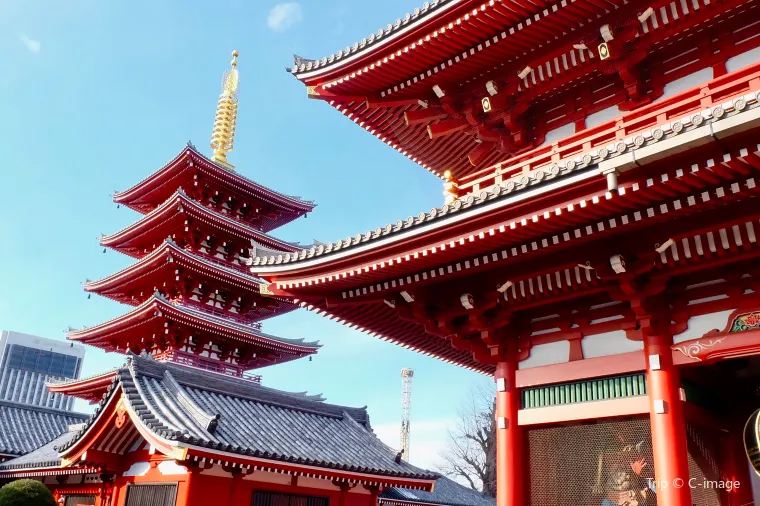 Yêu Cầu Đối Với Đơn Xin Visa Nhật Bản Cho Người Việt