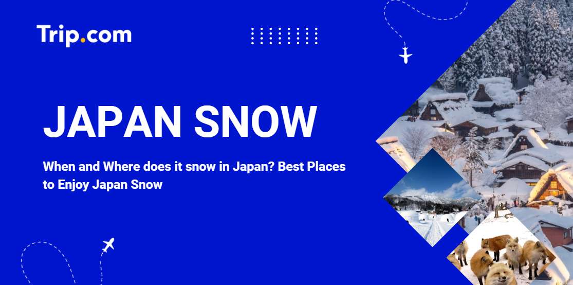 When & Where Does It Snow in Japan? Best Snow Spots | Trip.com