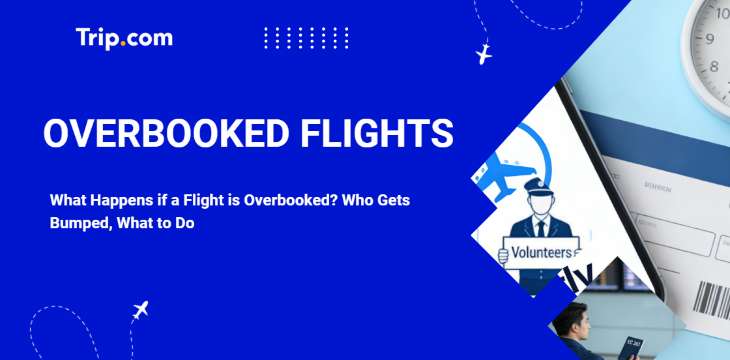 What Happens if a Flight is Overbooked? Who Gets Bumped, What to Do