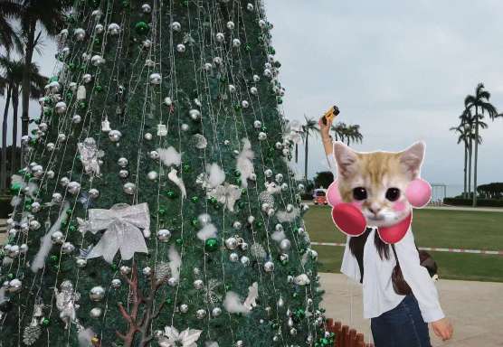 三亞亞龍灣萬豪酒店聖誕裝備