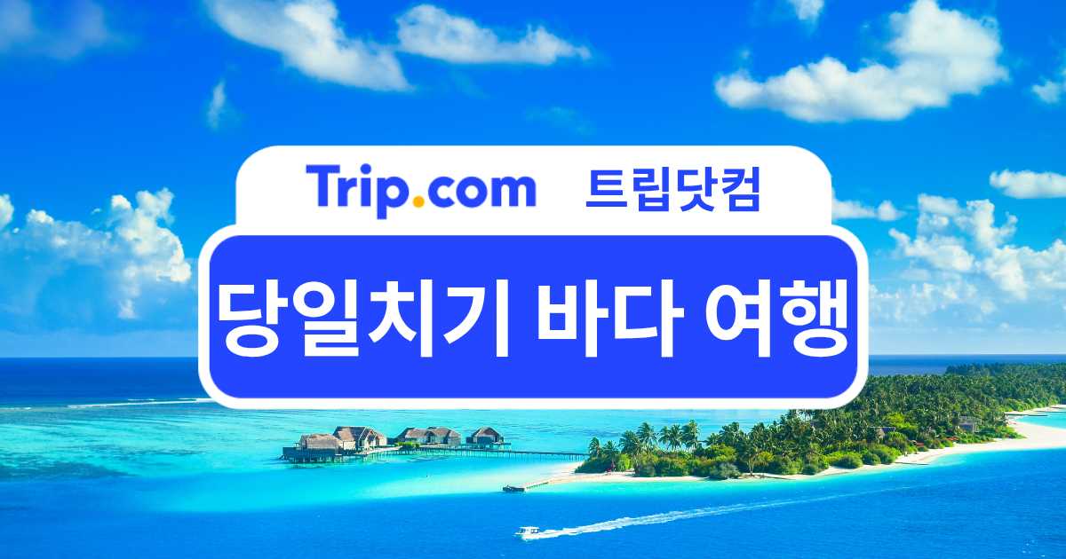 당일치기 바다 여행 BEST