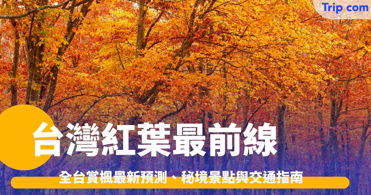 台灣紅葉2026｜12大賞楓景點、最佳觀賞期及交通攻略 | Trip.com