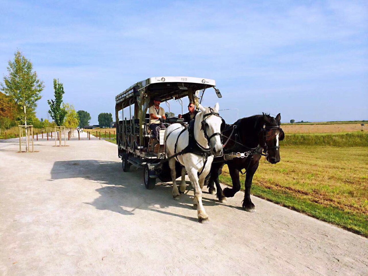 Promenades à cheval à travers la baie