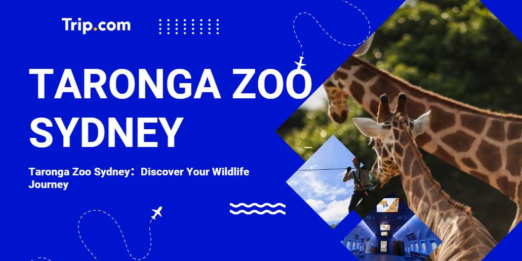 Taronga Zoo