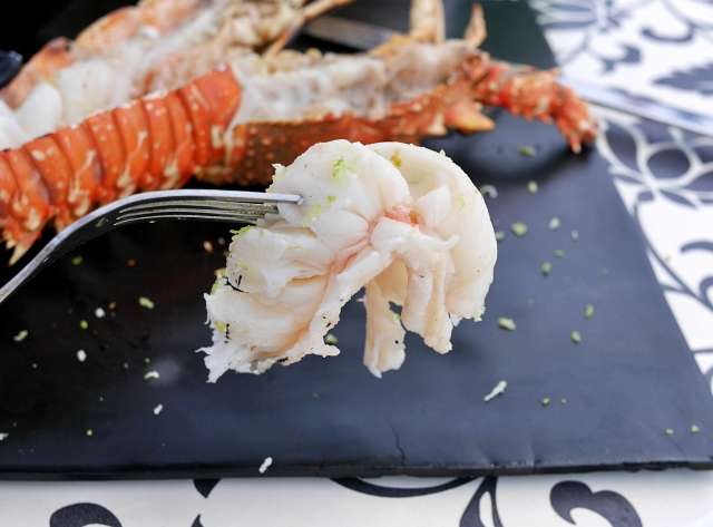 Meet the Bund SKYLINE