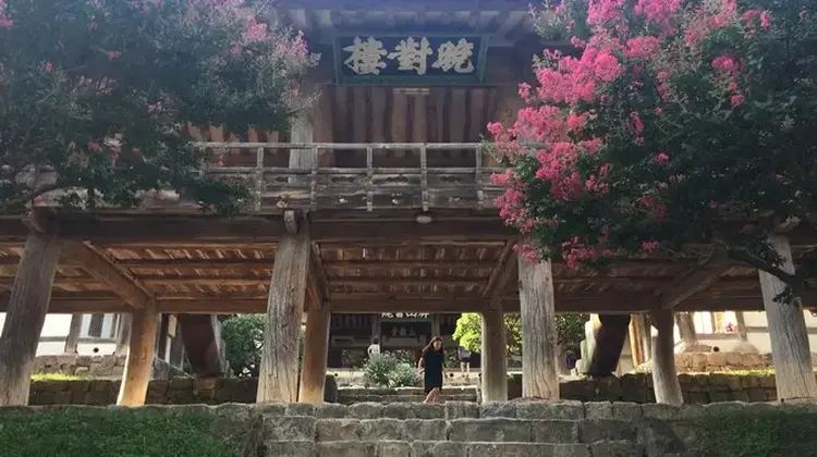 韓国の書院｜儒教教育と学問の歴史を伝える世界遺産