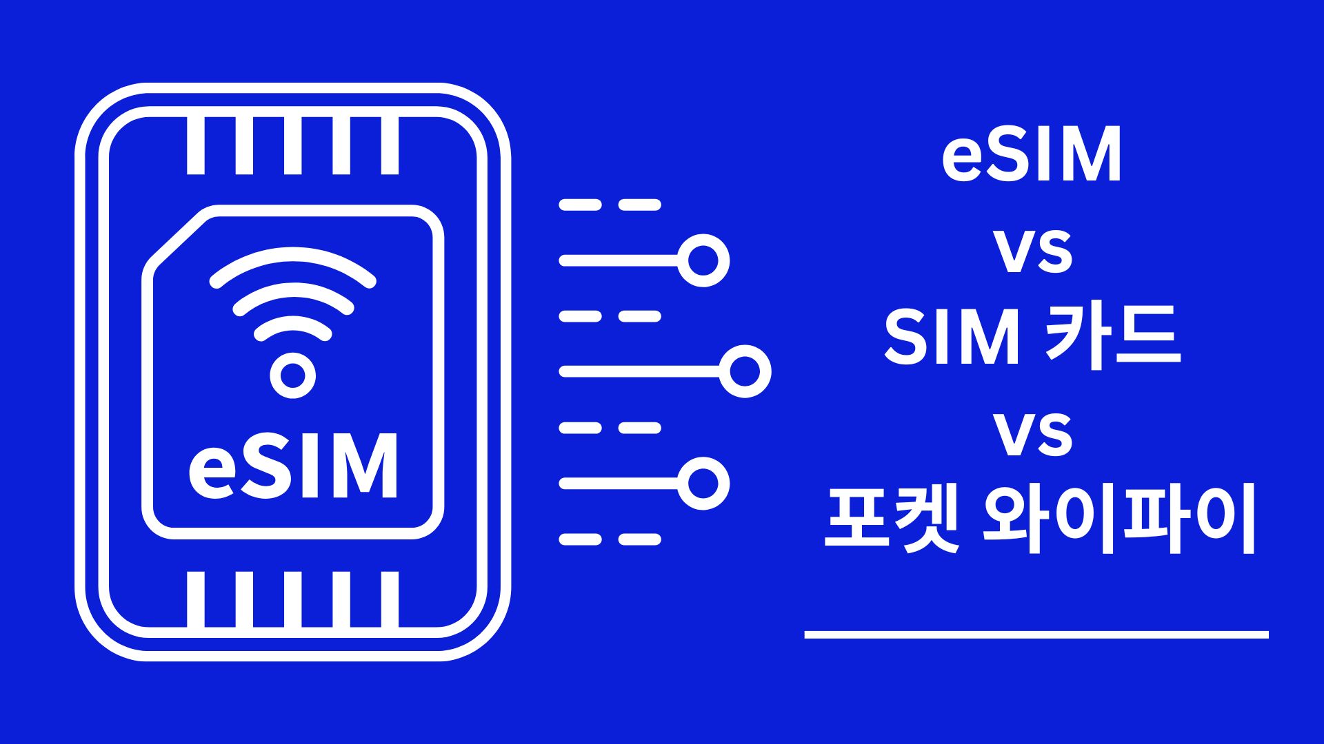 esim & 유심 & Wifi