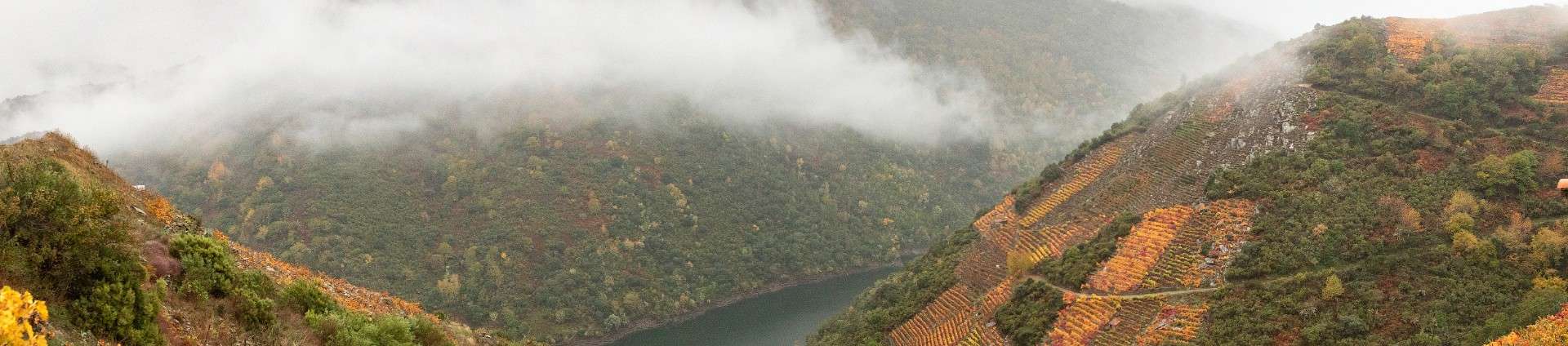 Rutas por Galicia en tren