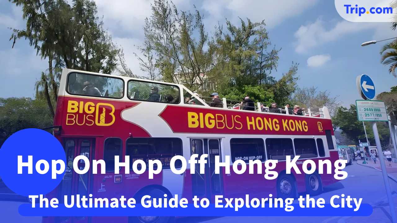 hop on hop off Hong Kong bus tour