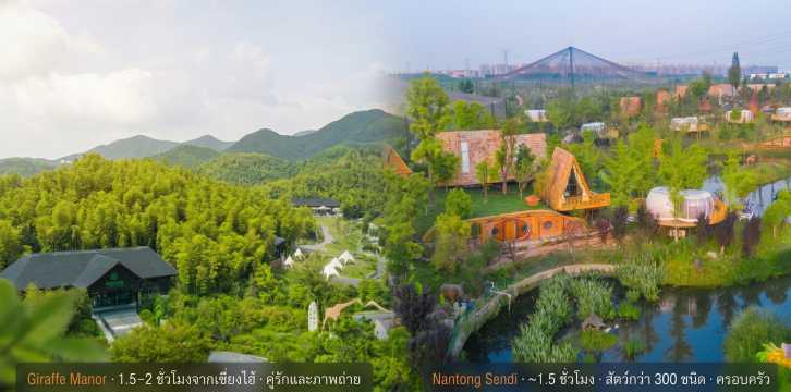เปรียบเทียบโรงแรม Giraffe Manor Huzhou และ Nantong Sendi — เลือกที่ไหนดี
