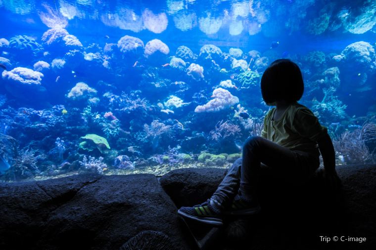 Hongdao Seaside Park (less crowded beach)
