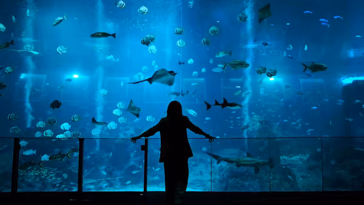 Singapore Oceanarium