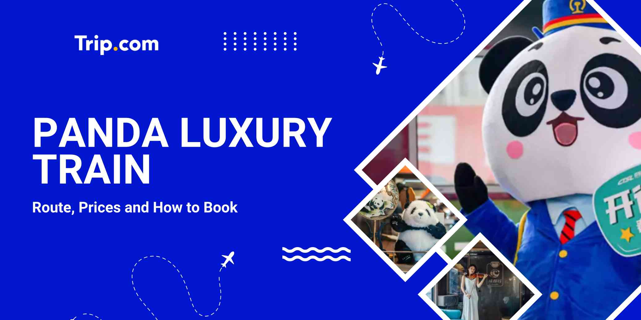 Panda Luxury Train