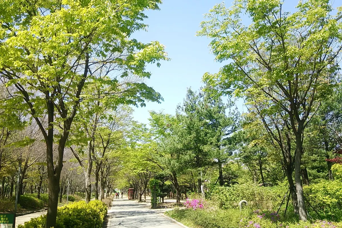 seoul forest